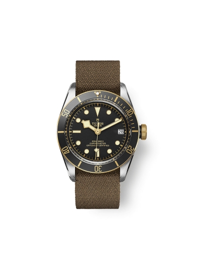 Montre Tudor Black Bay S&G automatique cadran noir bracelet en tissu brun 41 mm