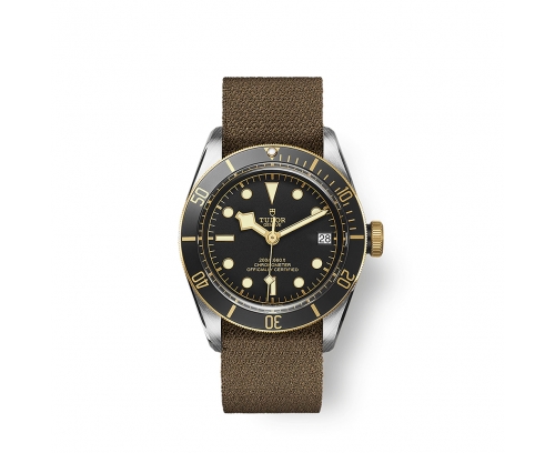 Montre Tudor Black Bay S&G automatique cadran noir bracelet en tissu brun 41 mm