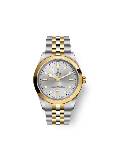 Montre Tudor Black Bay S&G automatique cadran argenté bracelet en acier et or jaune 18 carats 41 mm
