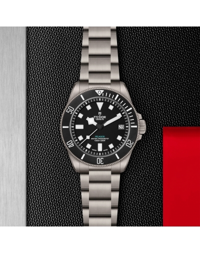 copy of Montre Tudor Clair...