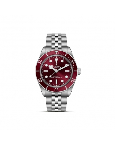 copy of Montre Tudor Clair...