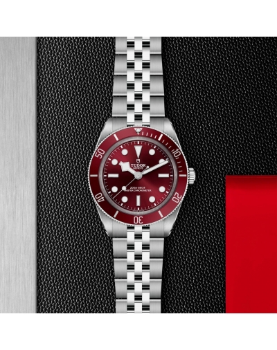 copy of Montre Tudor Clair...