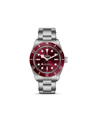 copy of Montre Tudor Clair...