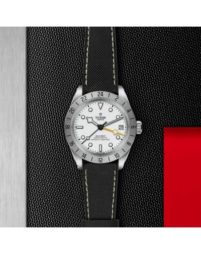 copy of Montre Tudor Clair...